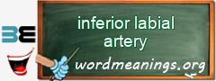 WordMeaning blackboard for inferior labial artery